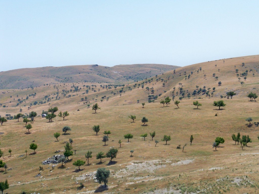 100_6936.jpg