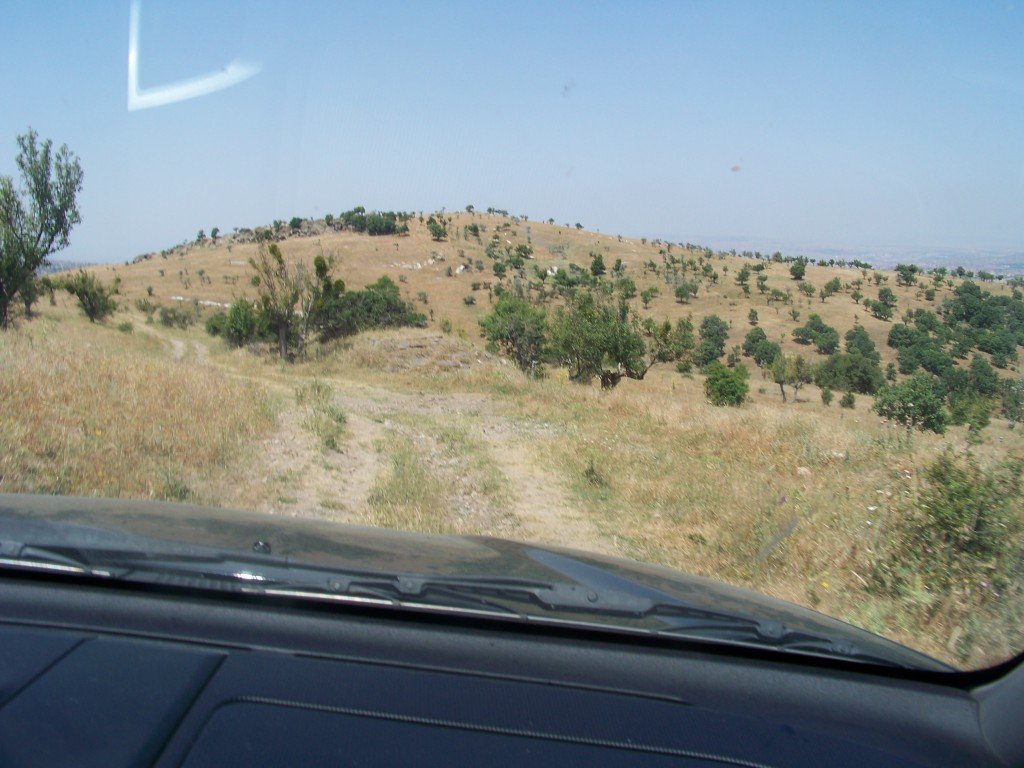 100_6948.jpg