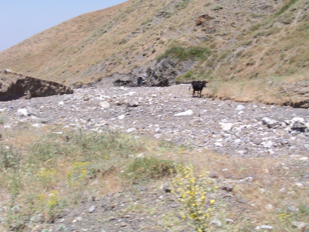 100_6970.jpg