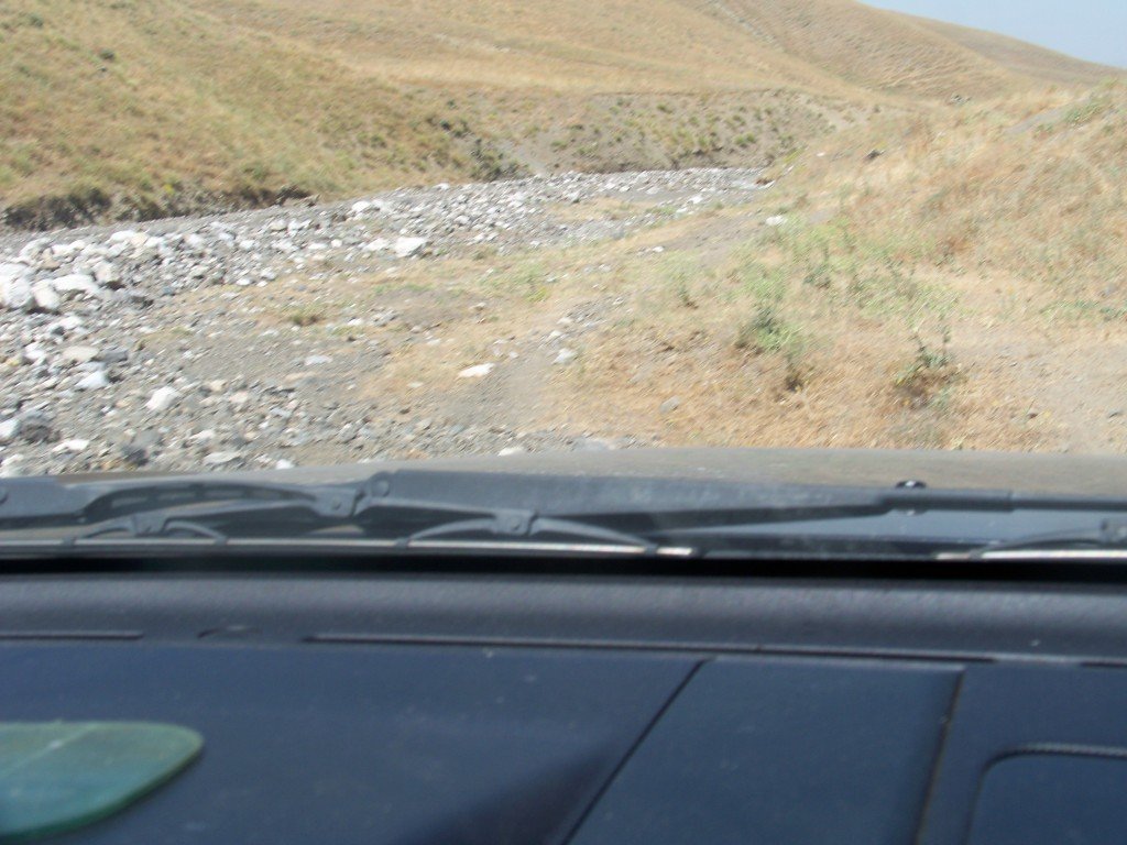 100_6981.jpg