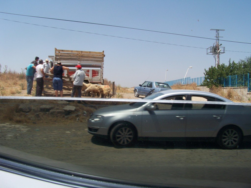 100_7055.jpg