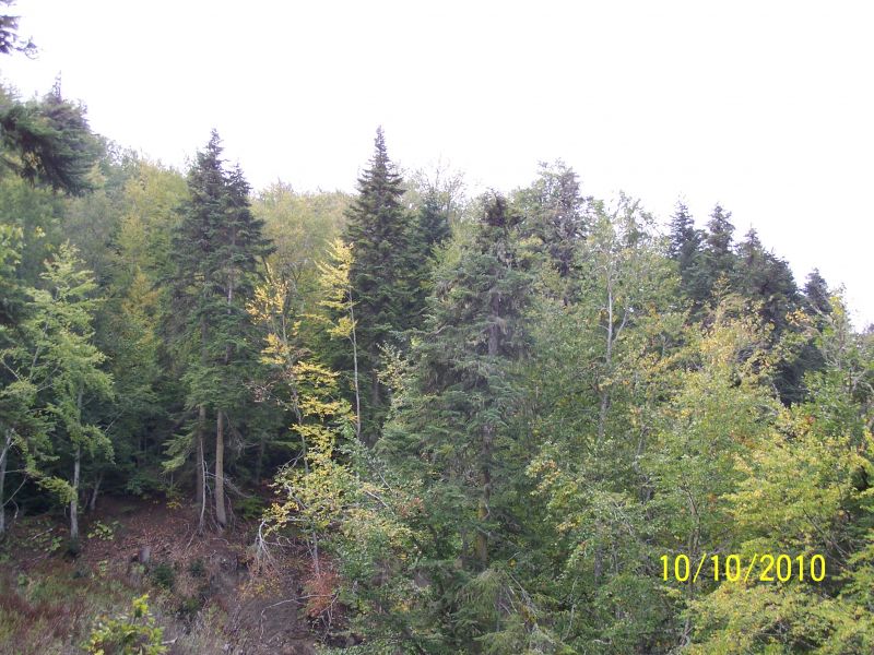 100_7118.jpg