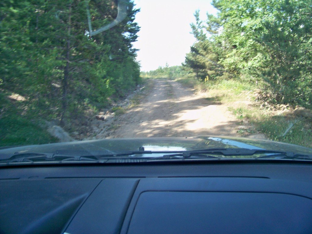 100_7145.jpg