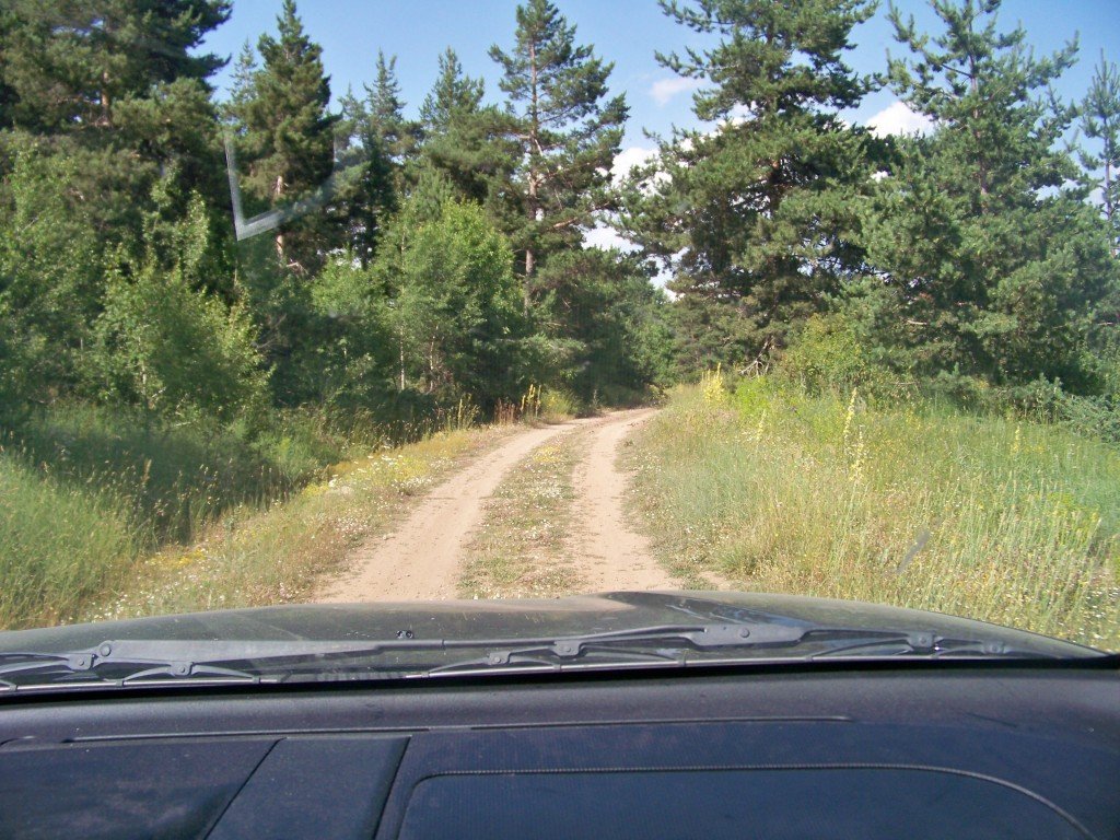 100_7150.jpg