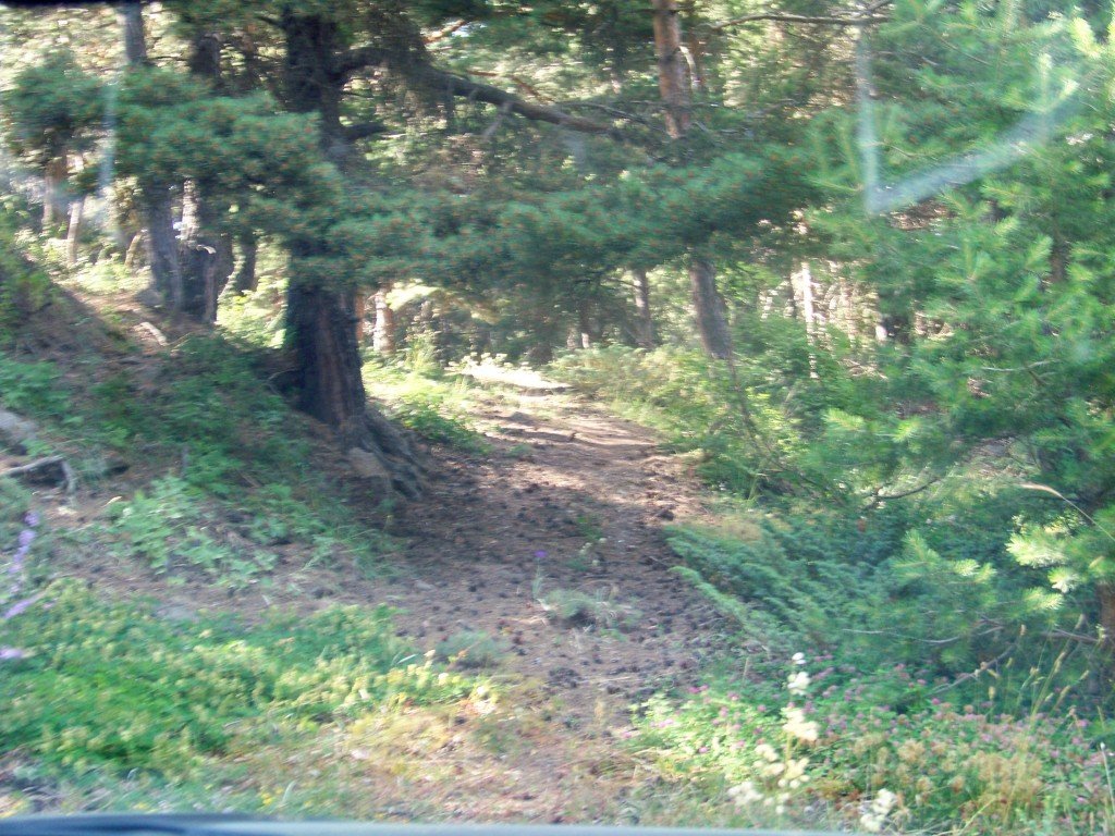 100_7170.jpg