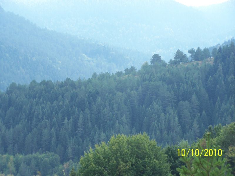 100_7172.jpg