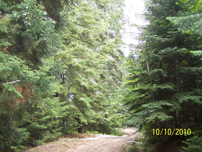 100_7181.jpg