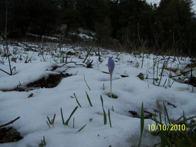 100_7200.jpg