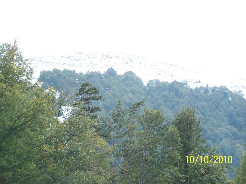 100_7203.jpg
