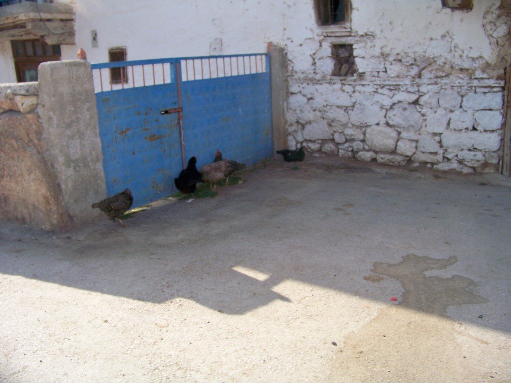 100_7212.jpg