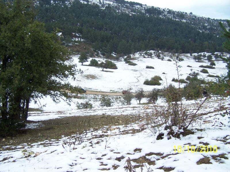 100_7225.jpg