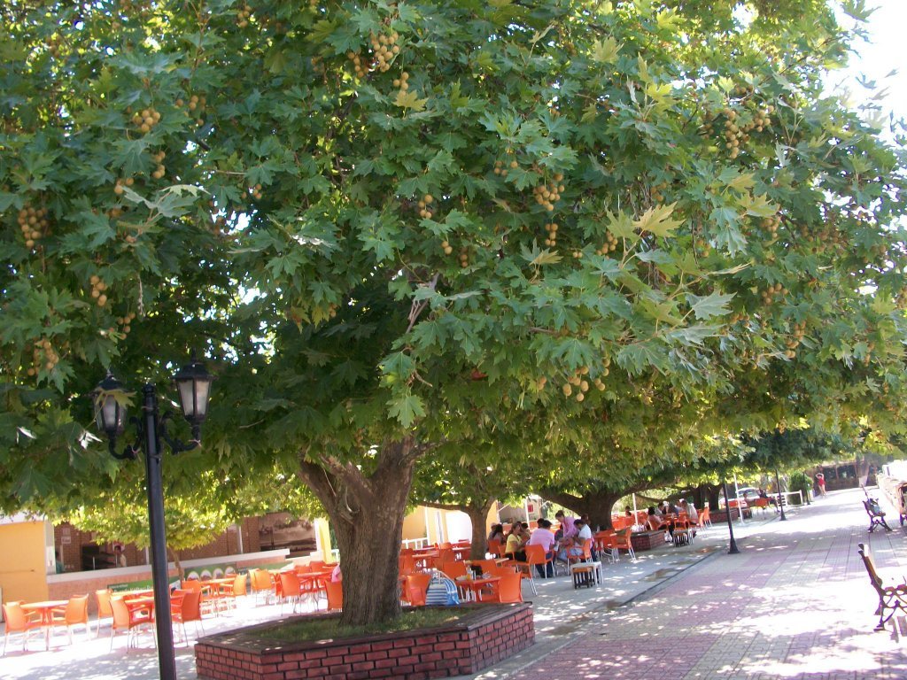 100_7315.JPG
