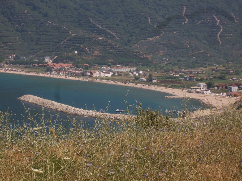 100_7335.JPG