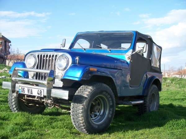 100_7376 (600 x 450).jpg