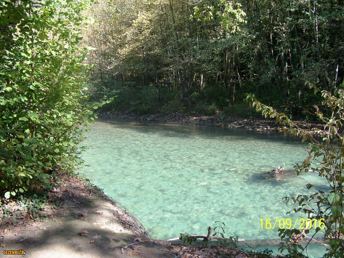 100_7794.JPG