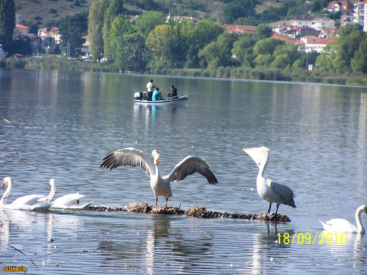 100_7823.JPG