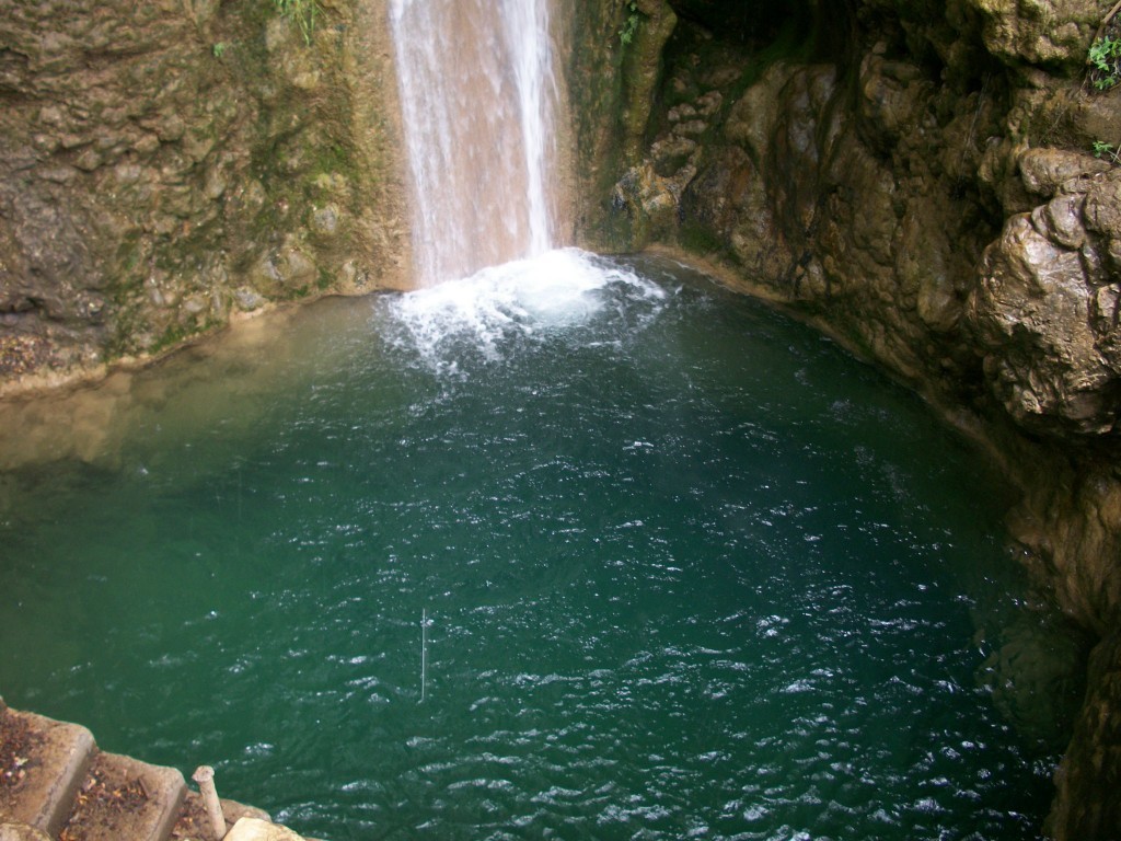 100_7901.JPG