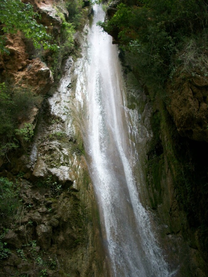 100_7902.JPG