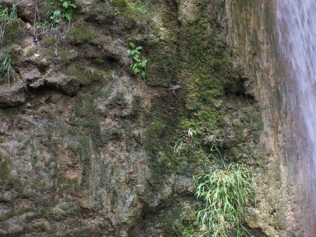 100_7905.JPG