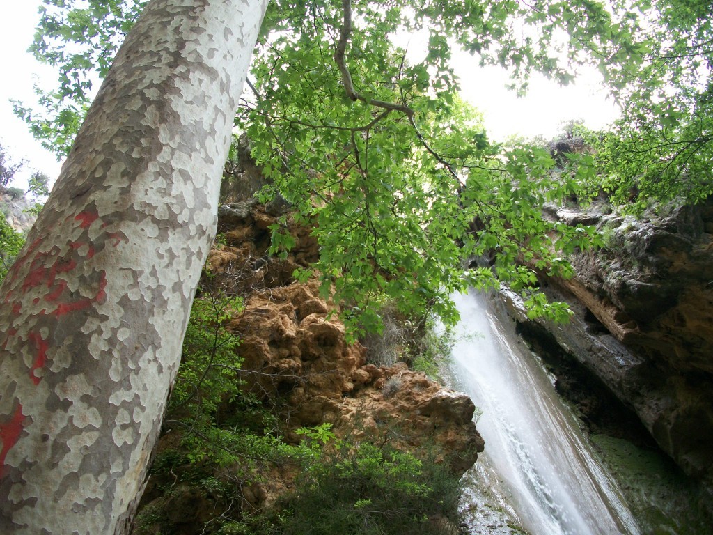 100_7907.JPG