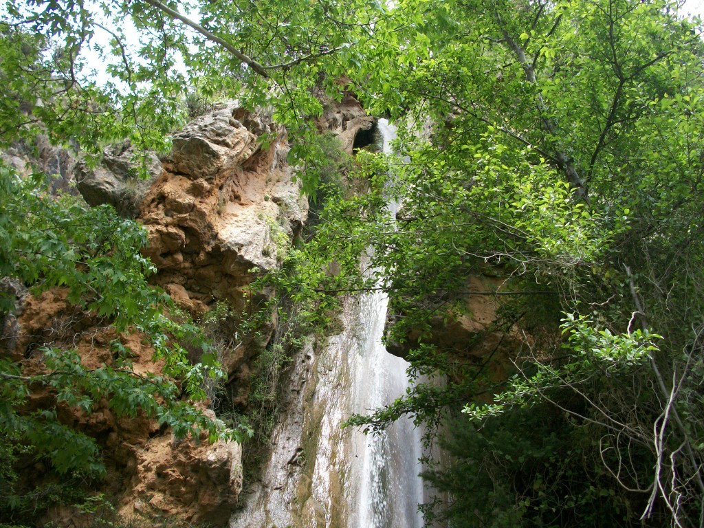 100_7911.JPG