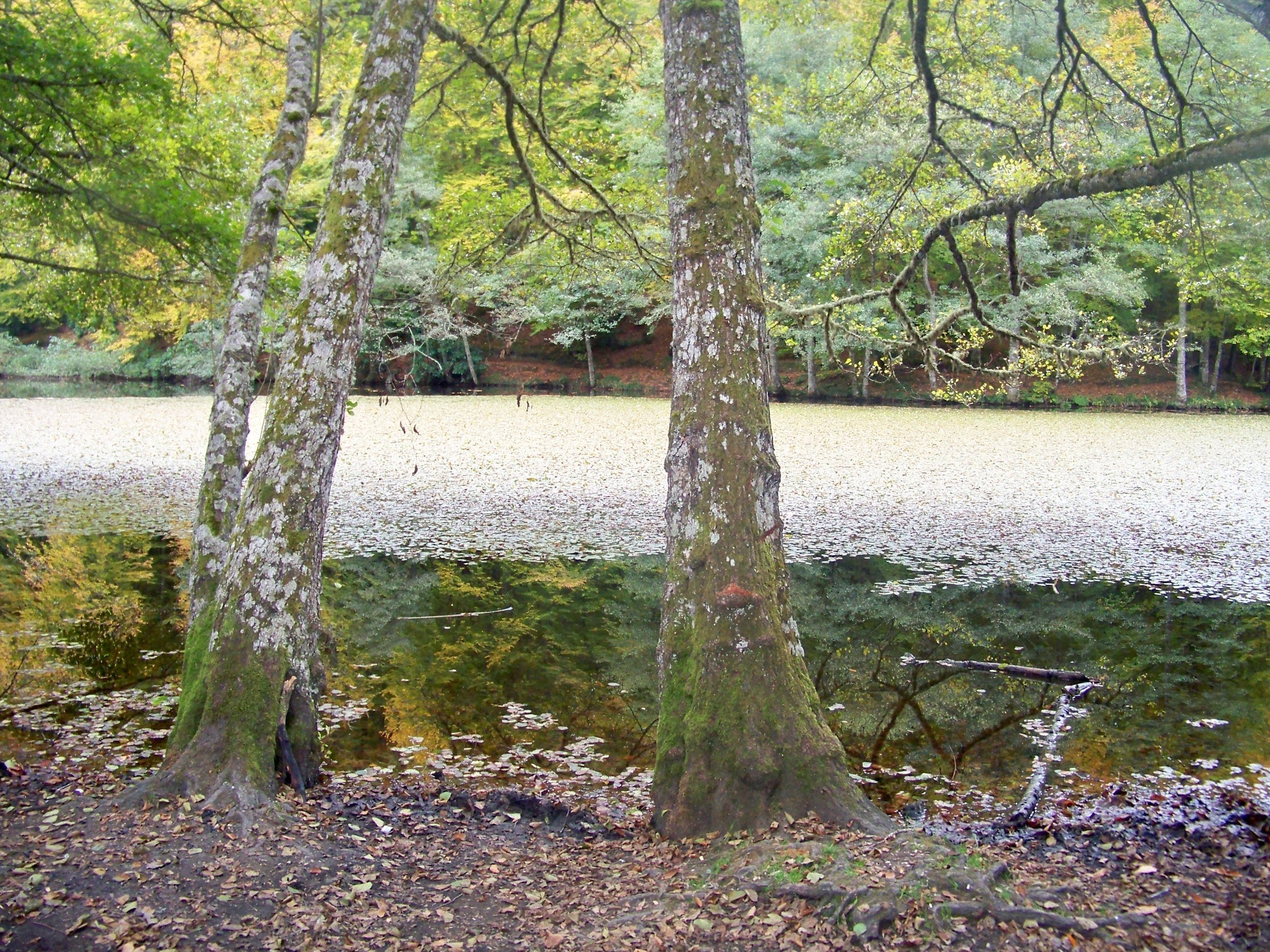 100_7912.jpg