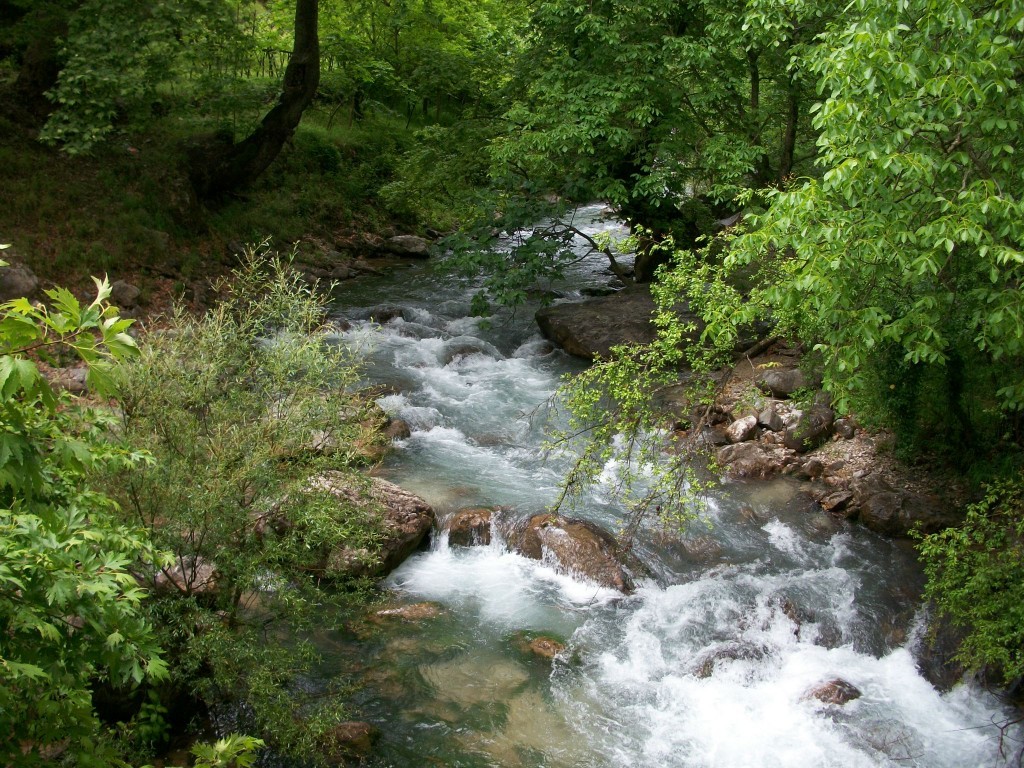 100_7918.JPG