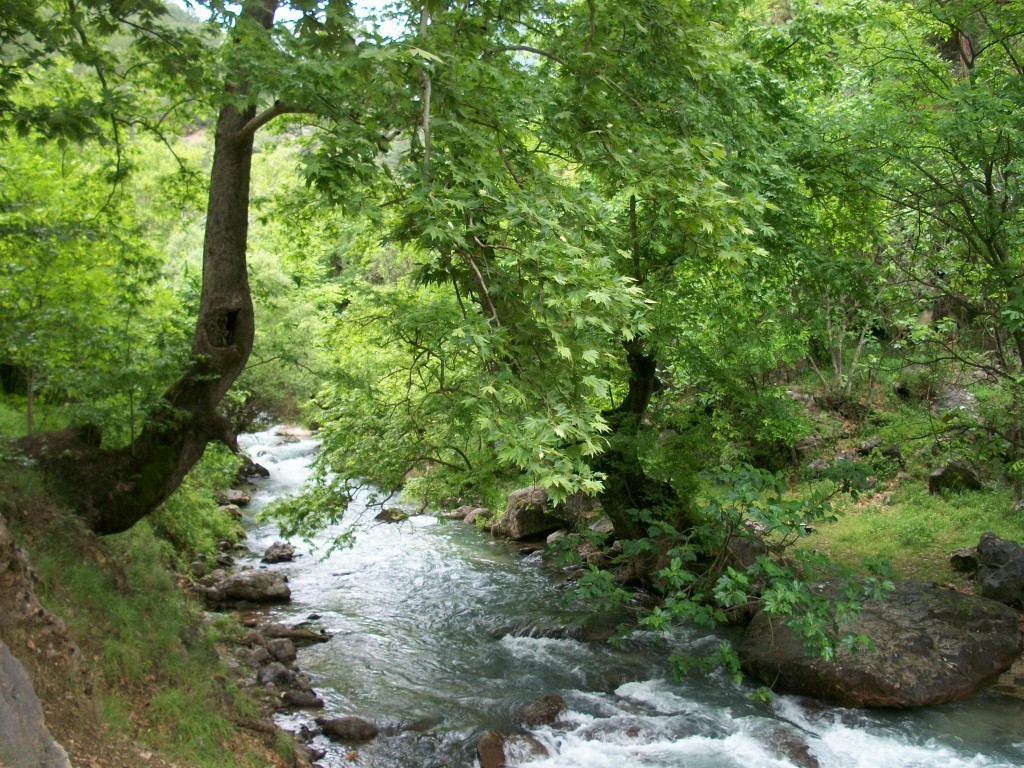 100_7925.JPG