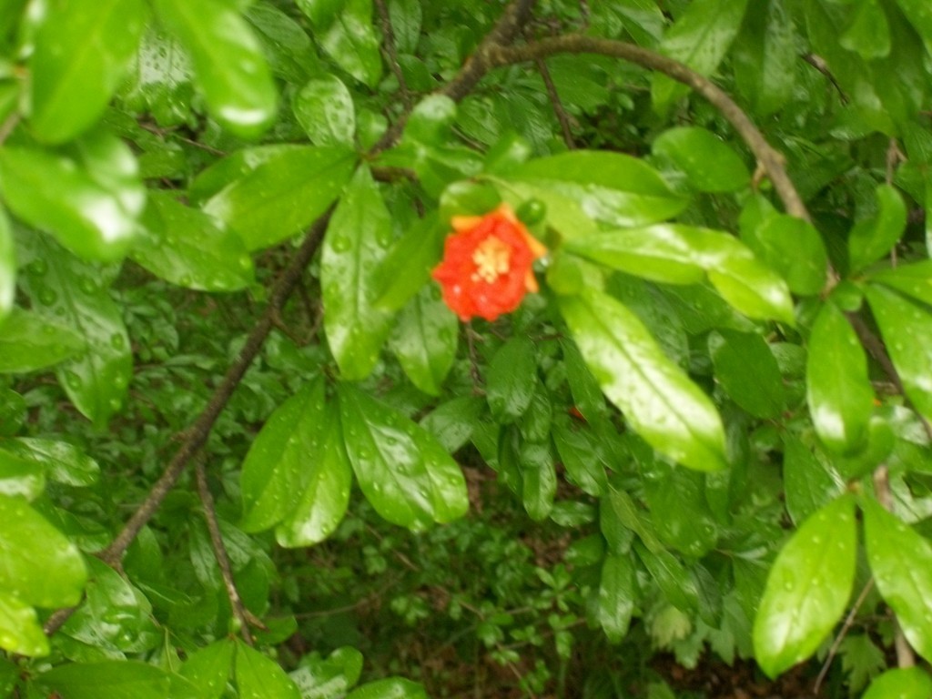 100_7927.JPG