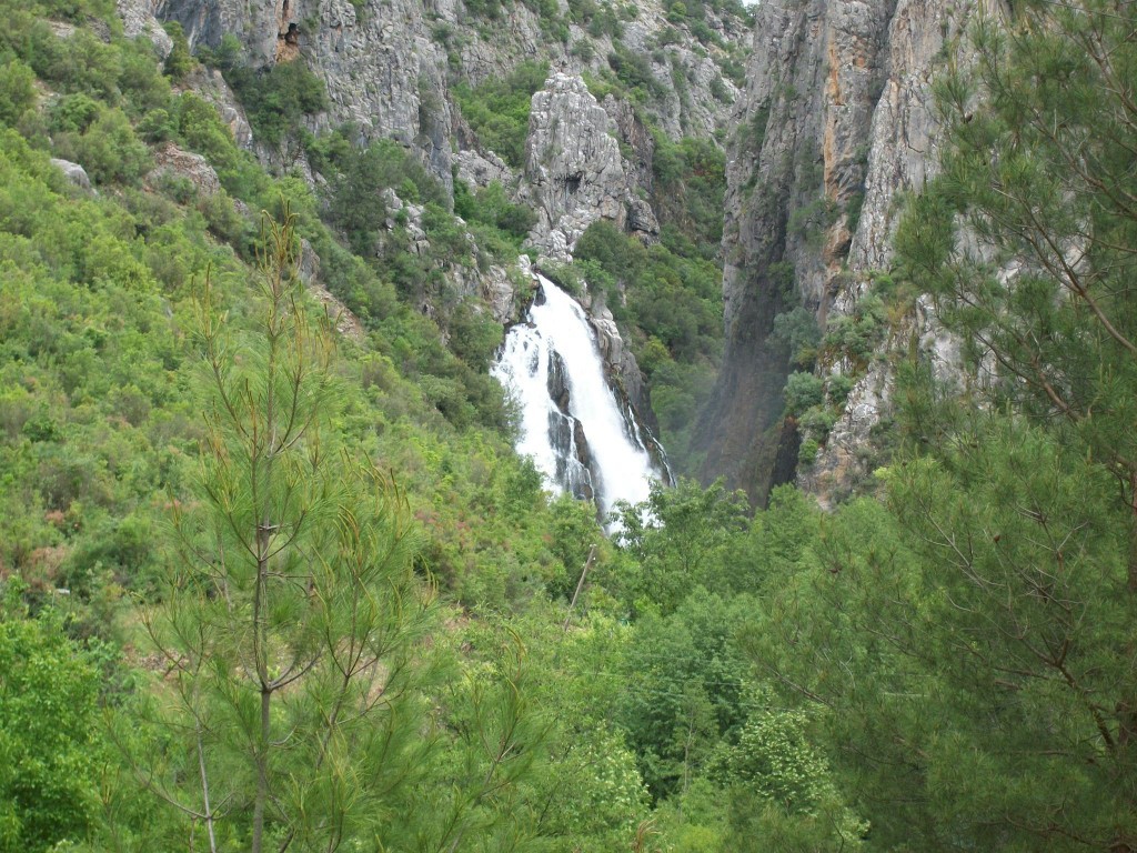 100_7929.JPG