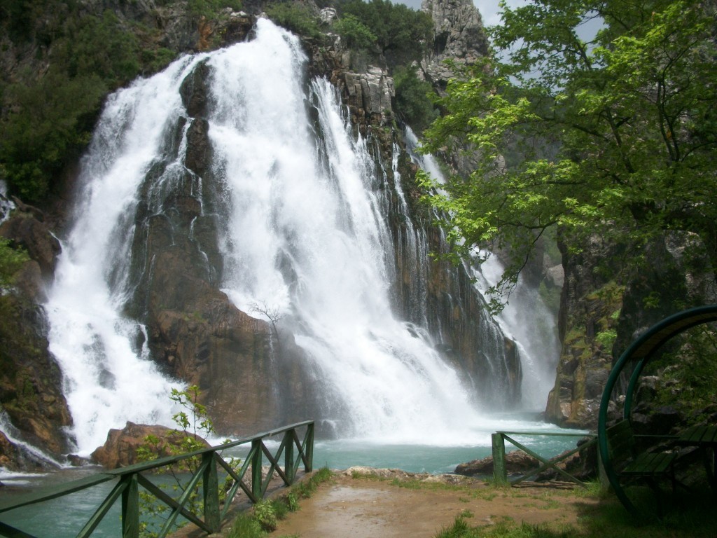 100_7931.JPG