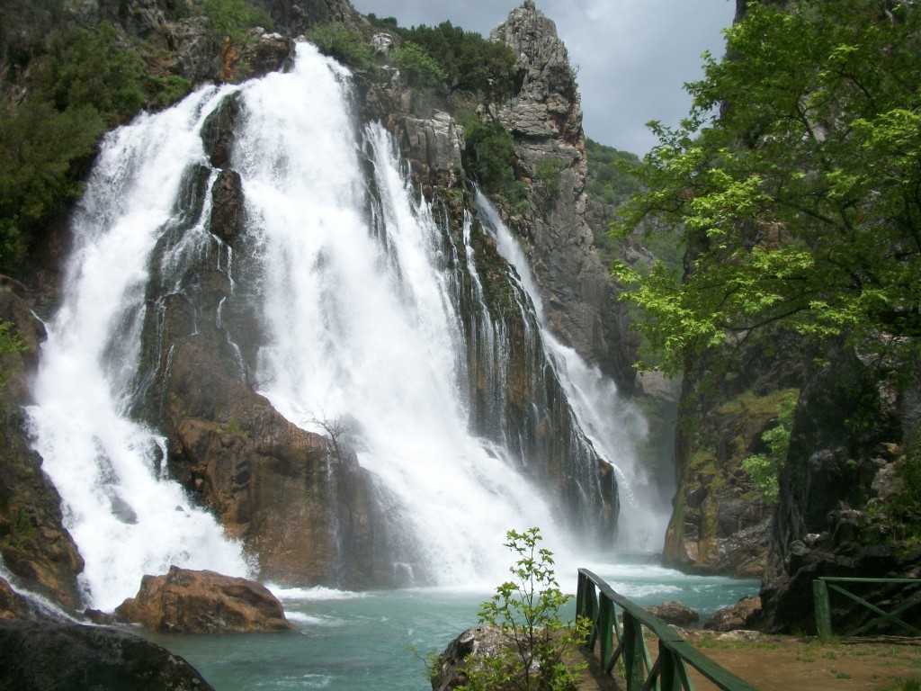100_7934.JPG