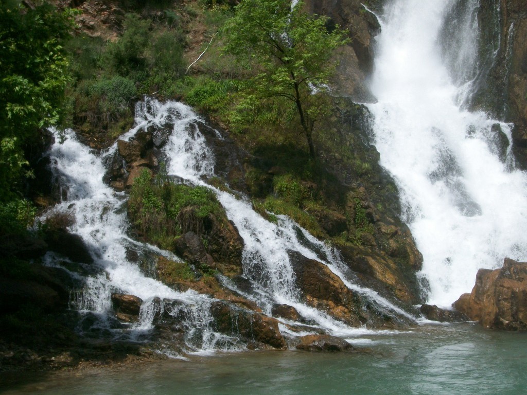100_7944.JPG