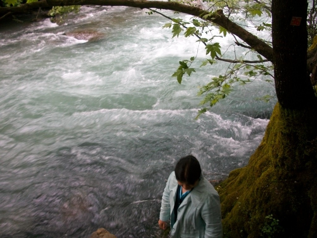 100_7950.JPG