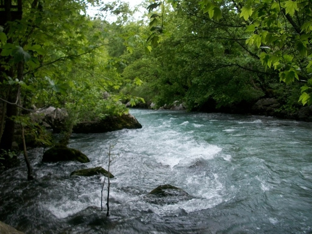 100_7951.JPG