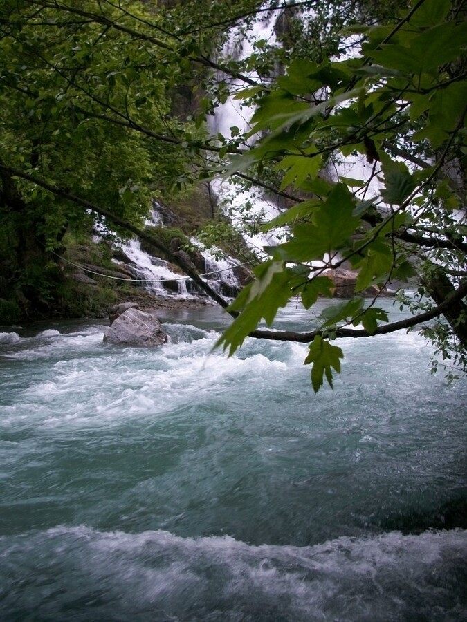 100_7954.JPG