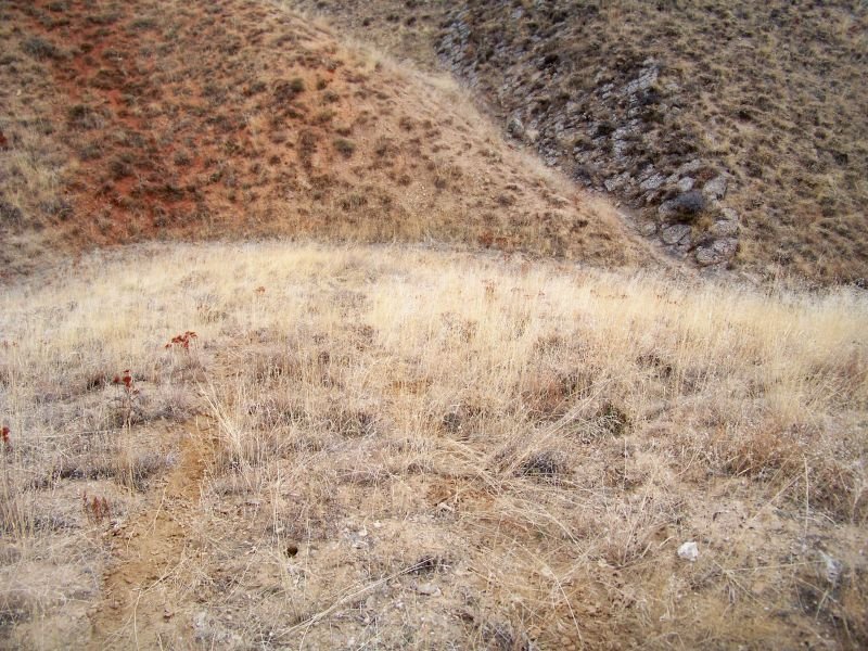 100_8210.JPG