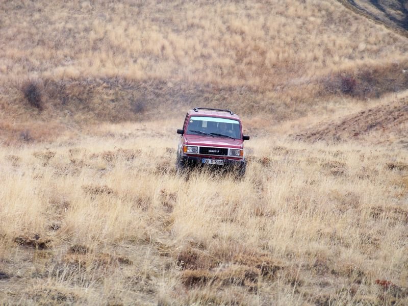 100_8215.JPG