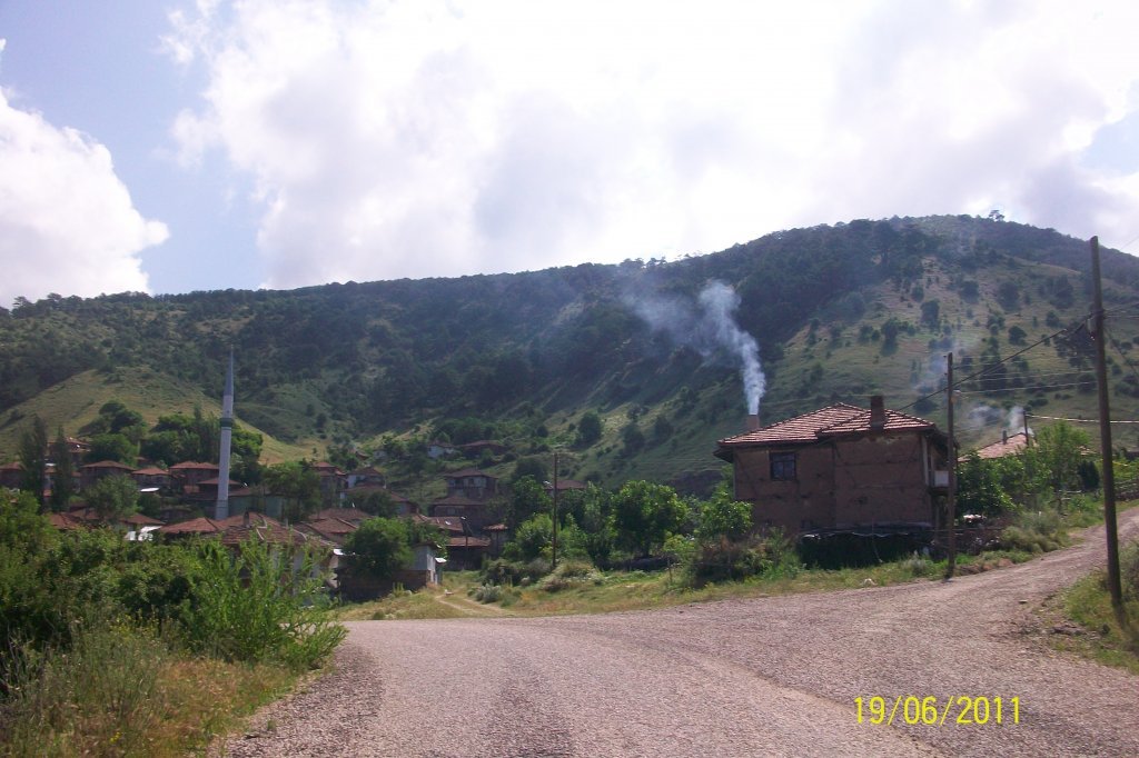 100_8227.jpg
