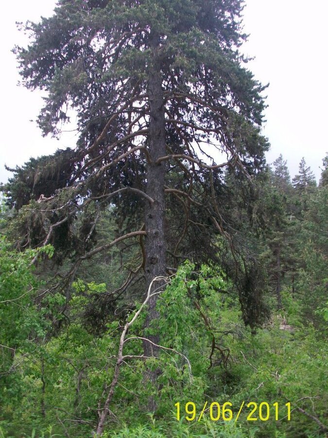 100_8277.jpg