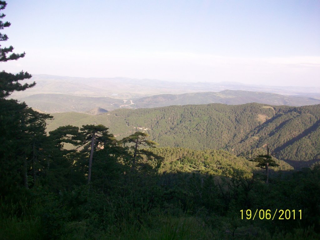 100_8309.jpg
