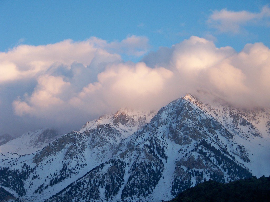 100_8503.jpg