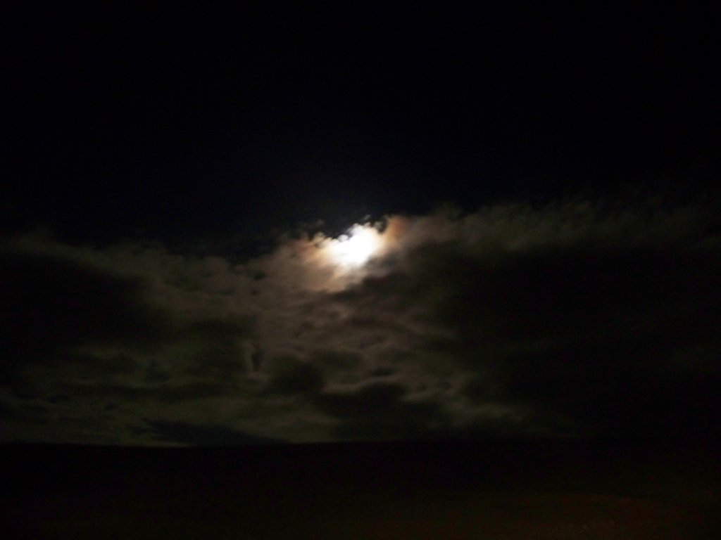 100_8576.jpg