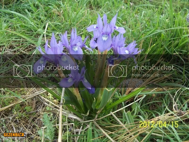 100_8694.jpg