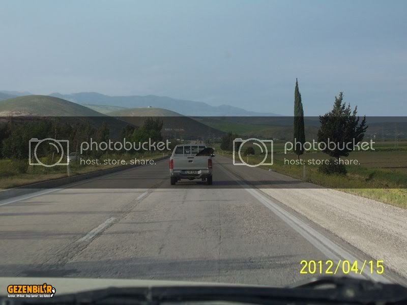 100_8698.jpg