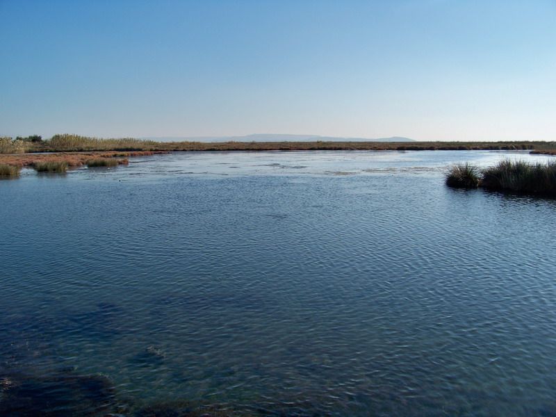 100_8956_resize.jpg