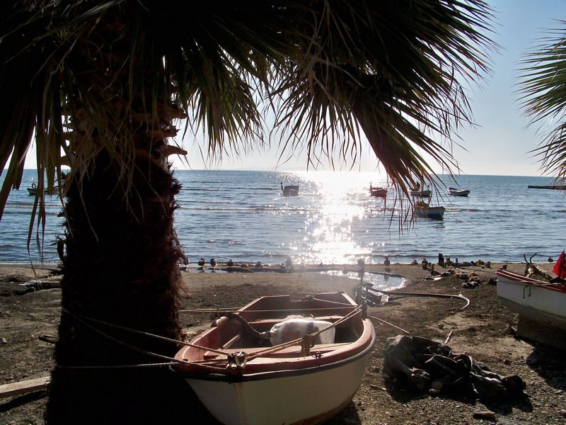 100_8974_resize.jpg