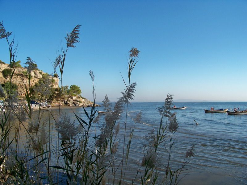 100_8985_resize.jpg