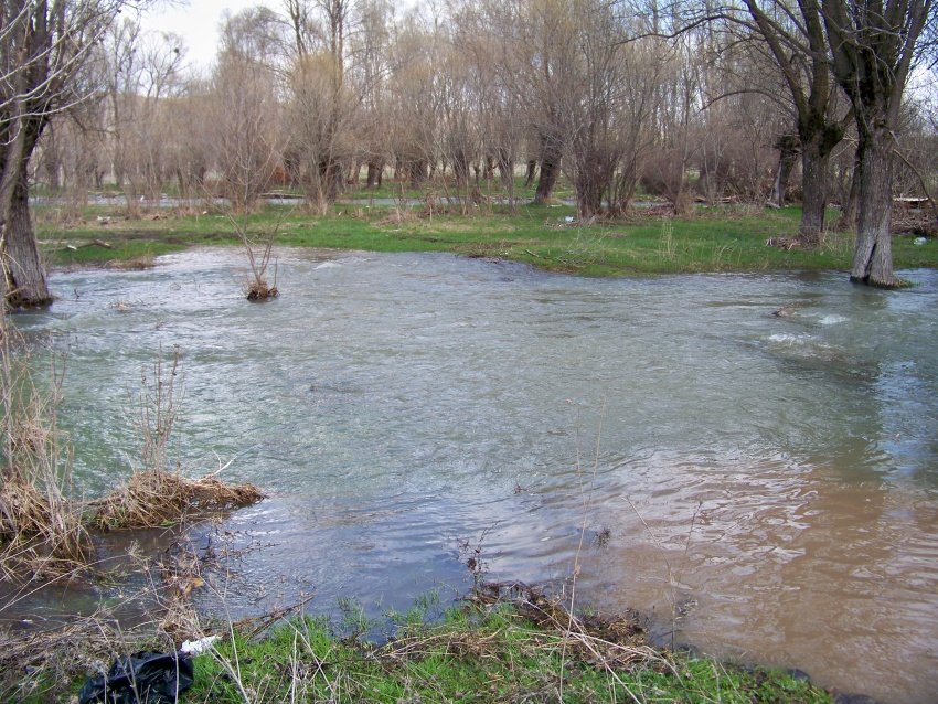 100_9026.JPG
