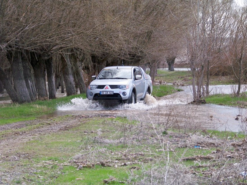 100_9031.JPG
